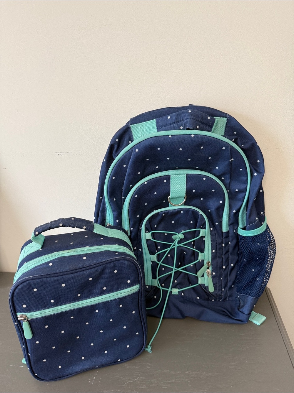 Pottery Barn Teen Backpack and Lunchbox Set